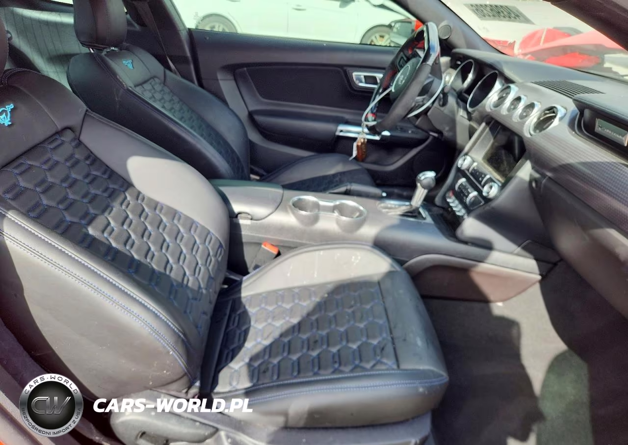 2019 Ford Mustang Gt VIN:1FA6P8CF3K5192773 - 10