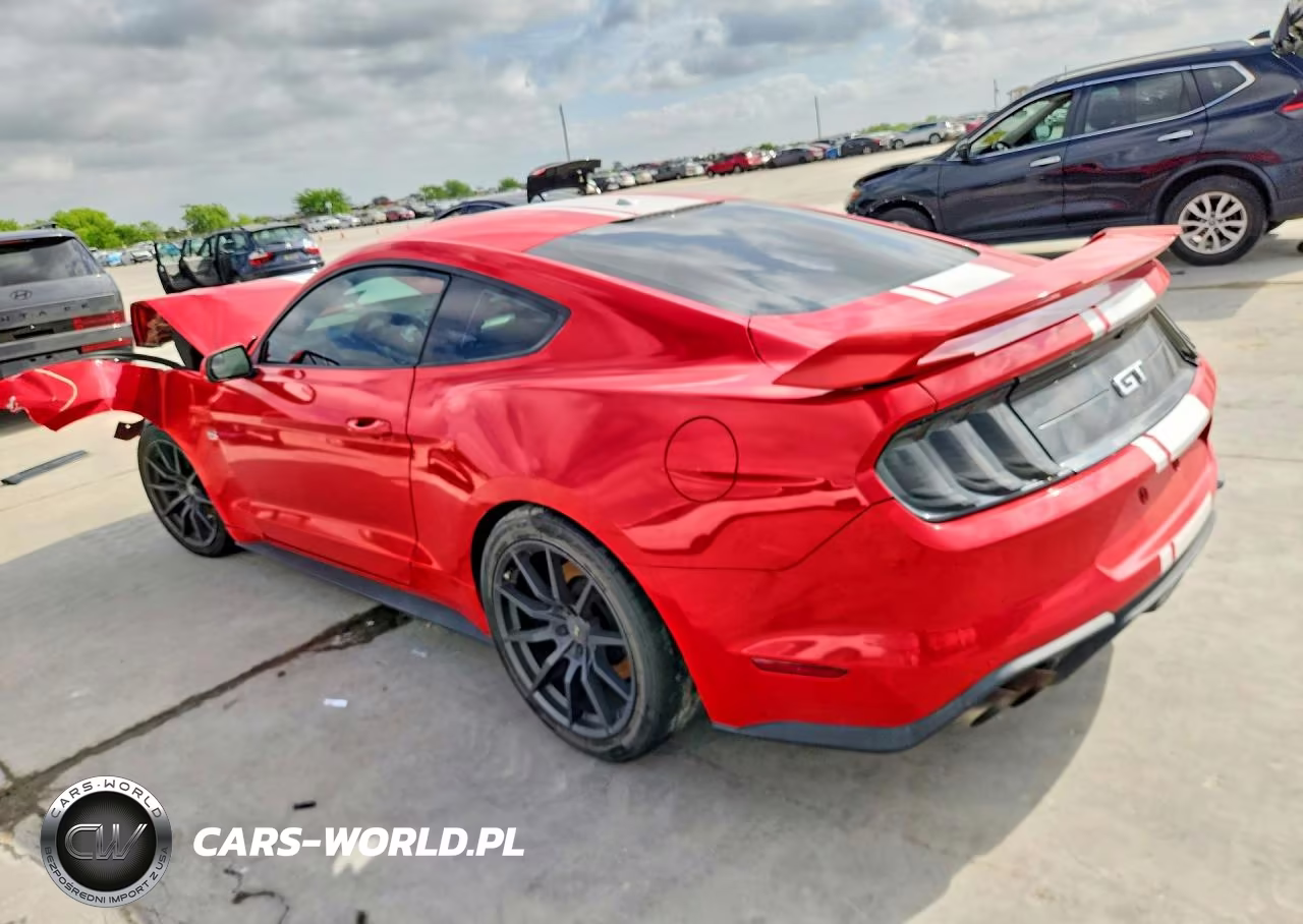 2019 Ford Mustang Gt VIN:1FA6P8CF3K5192773 - 2