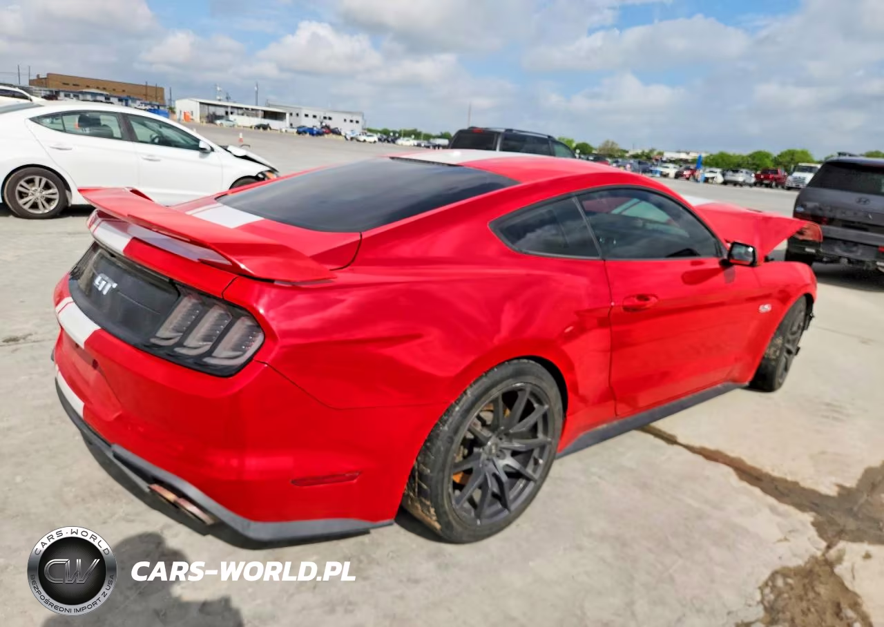 2019 Ford Mustang Gt VIN:1FA6P8CF3K5192773 - 3