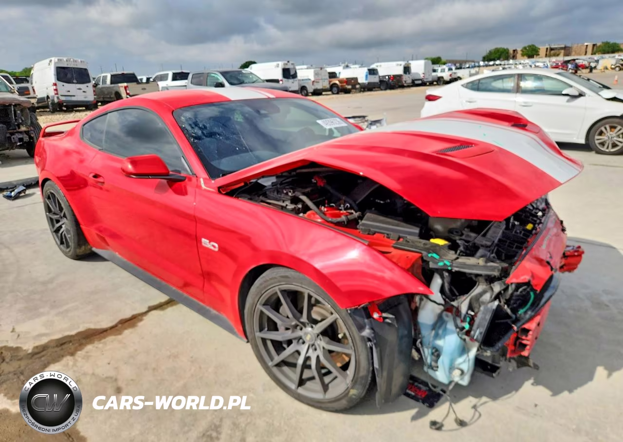 2019 Ford Mustang Gt VIN:1FA6P8CF3K5192773 - 4