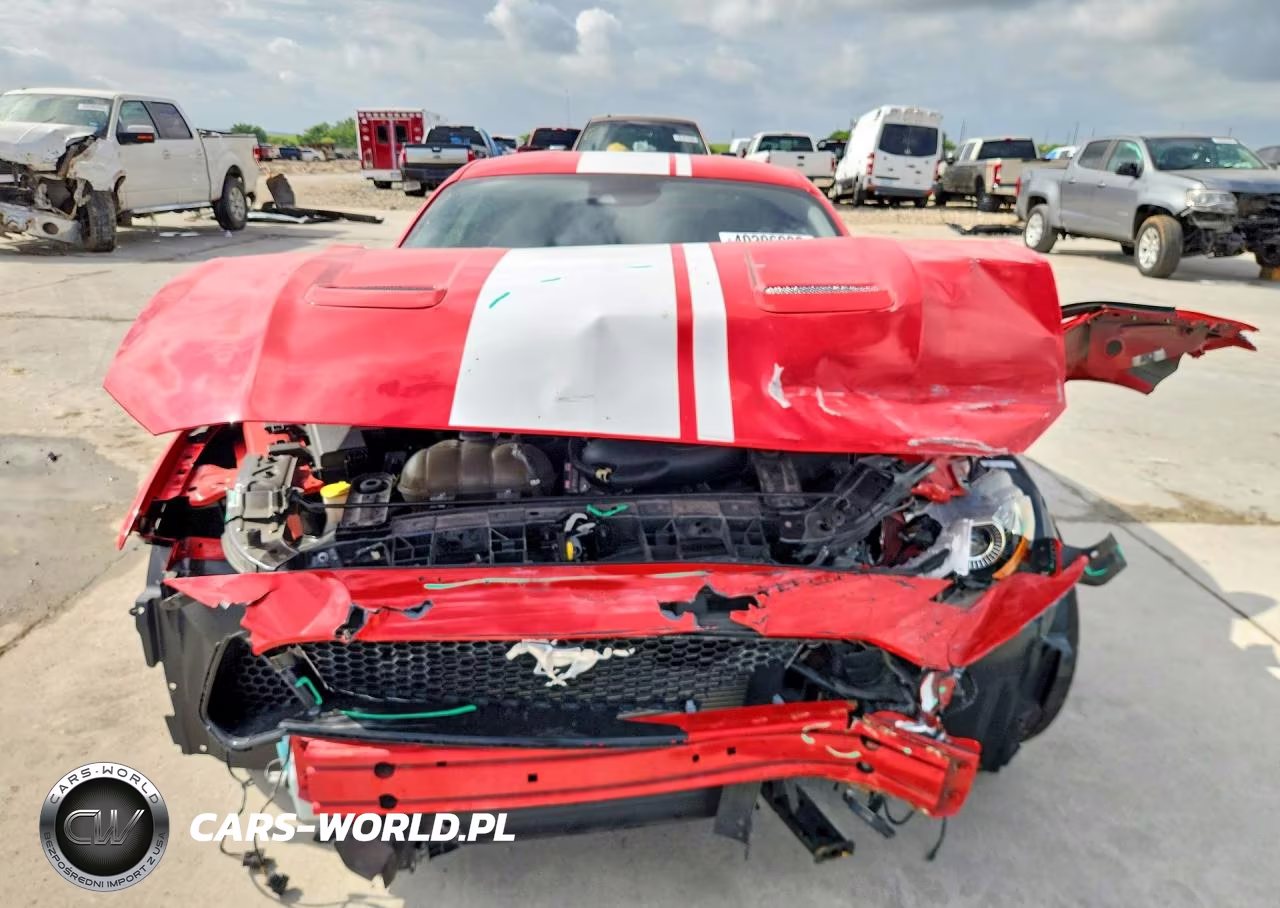 2019 Ford Mustang Gt VIN:1FA6P8CF3K5192773 - 5