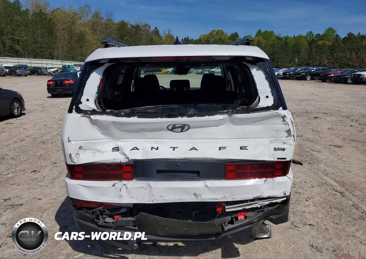 2024 Hyundai Santa Fe Xrt VIN:5NMP3DGL7RH033636 - 6