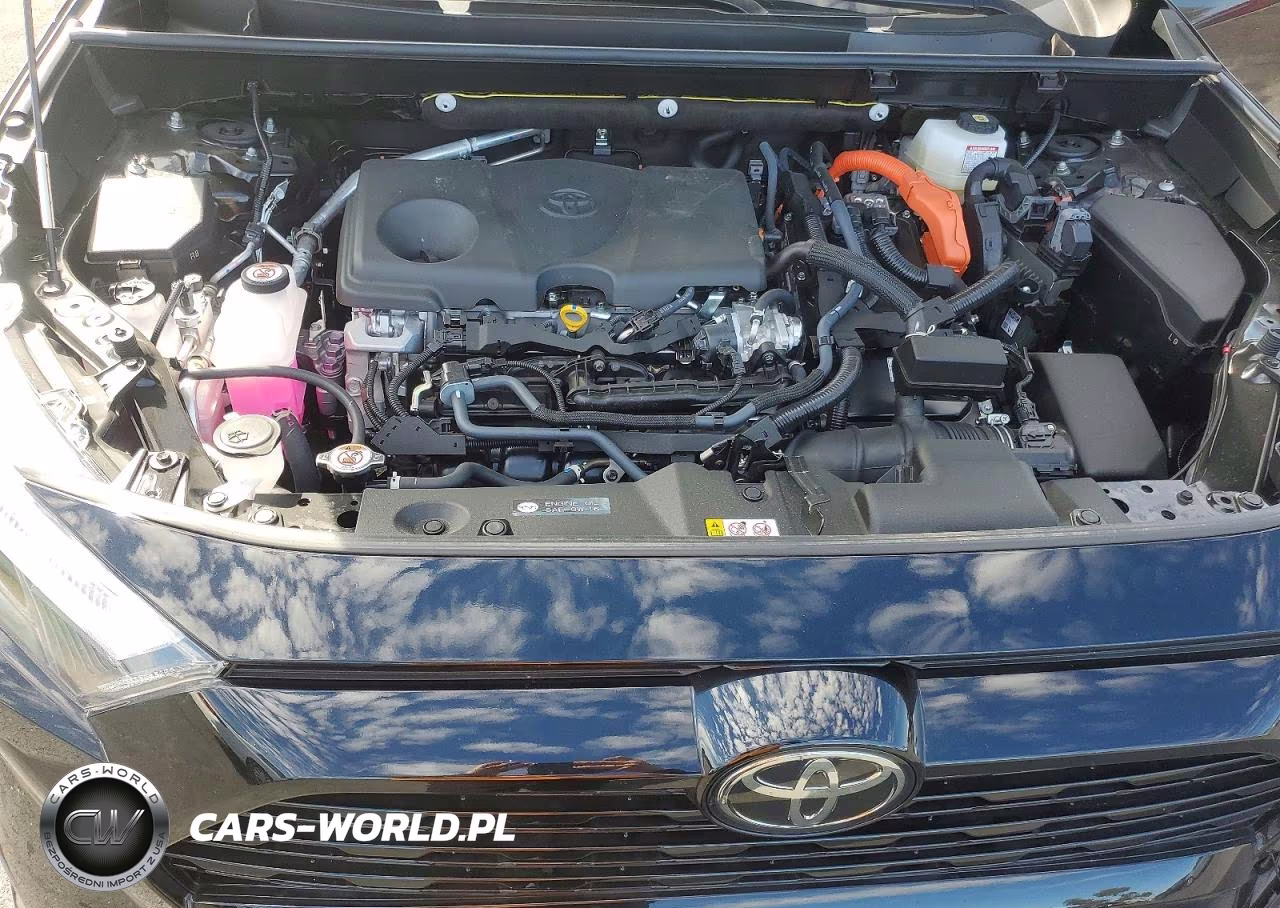 2025 Toyota Rav4 Se VIN:JTM16RFV7SJ092005 - 12