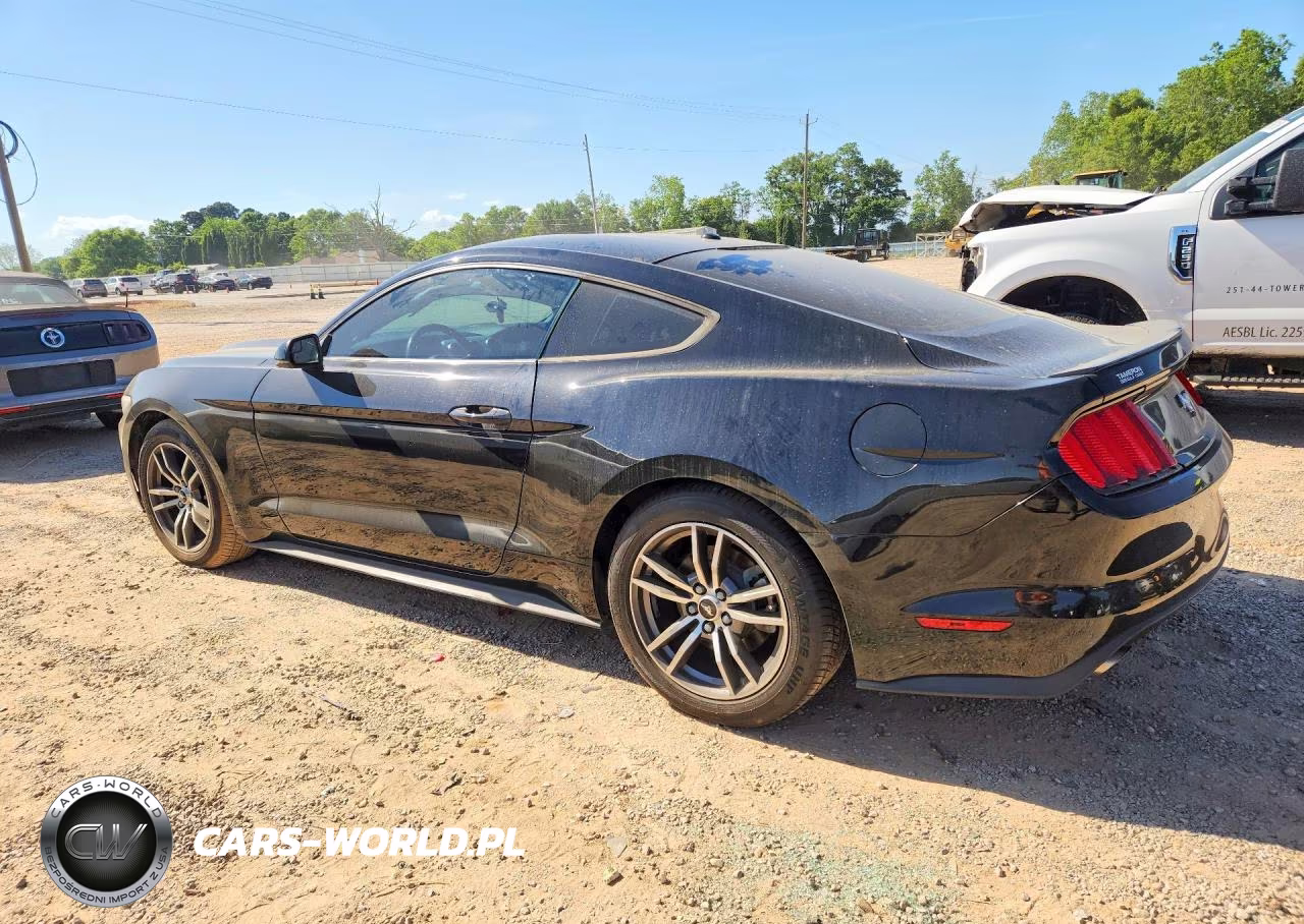 2017 Ford Mustang VIN:1FA6P8TH8H5273178 - 2