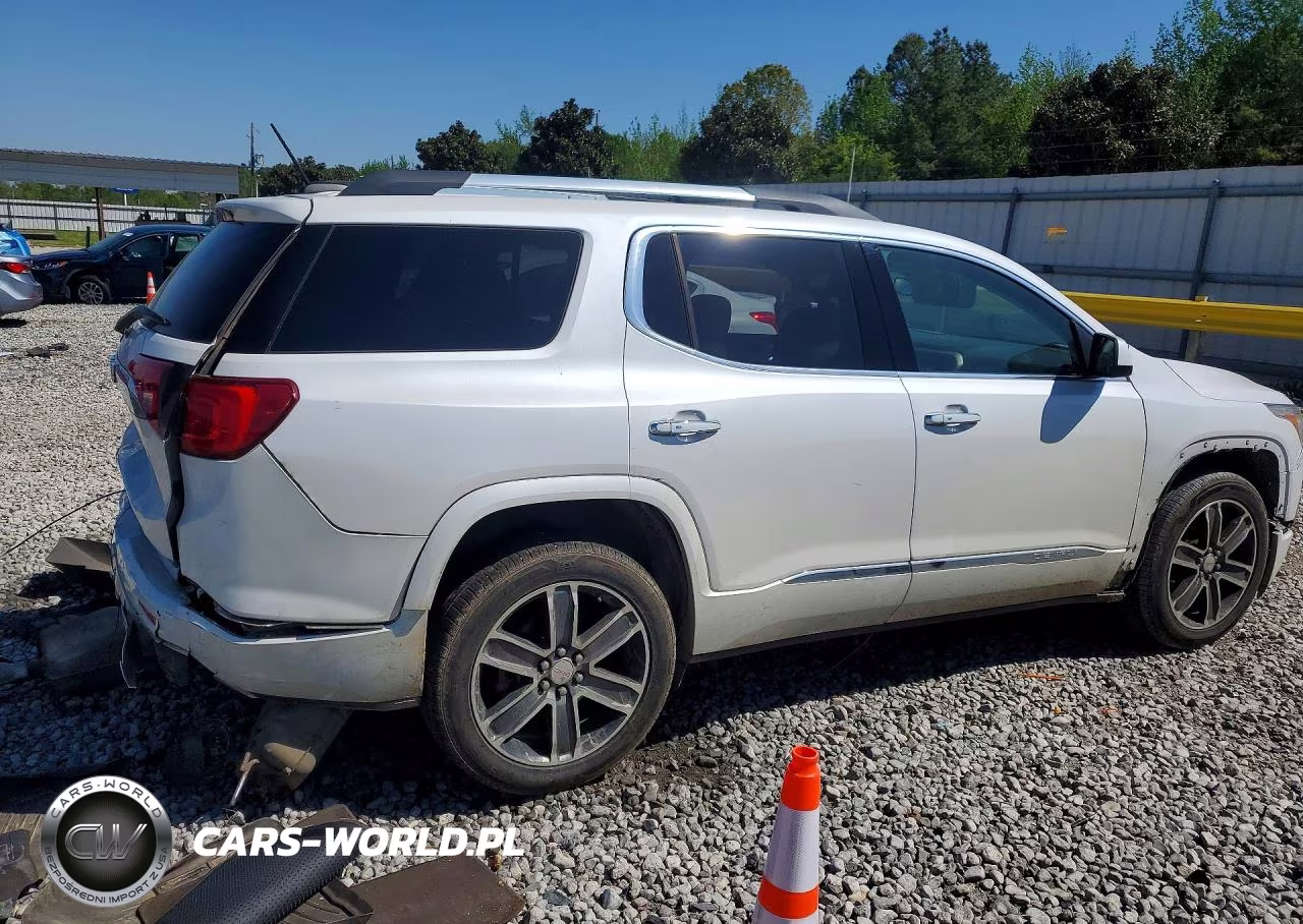 2017 GMC Acadia Denali VIN:1GKKNPLSXHZ299007 - 3