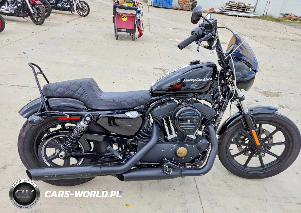 2020 Harley-Davidson Xl1200 Ns