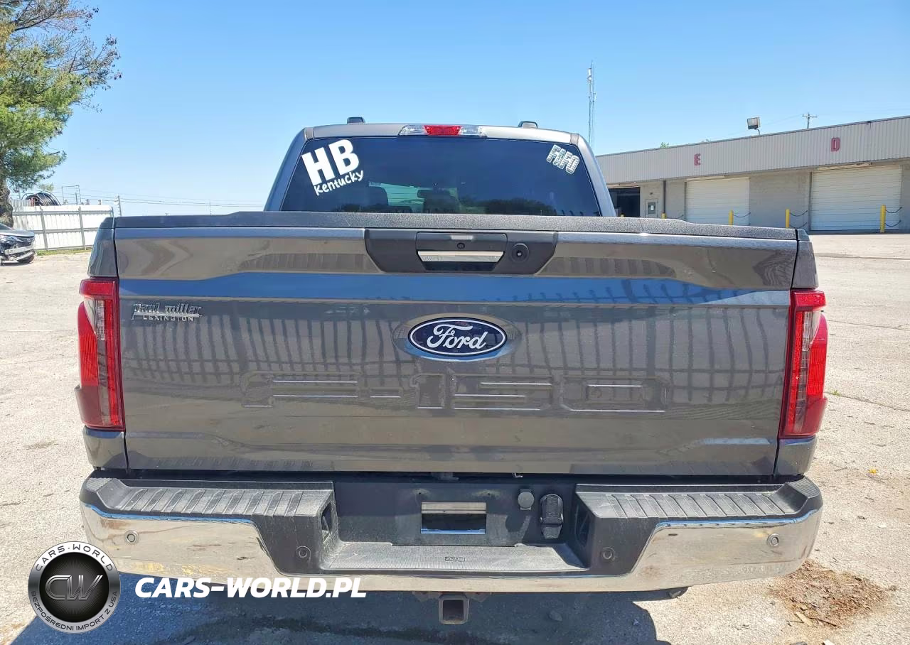 2024 Ford F150 Xlt VIN:1FTFW3L50RKE43753 - 6