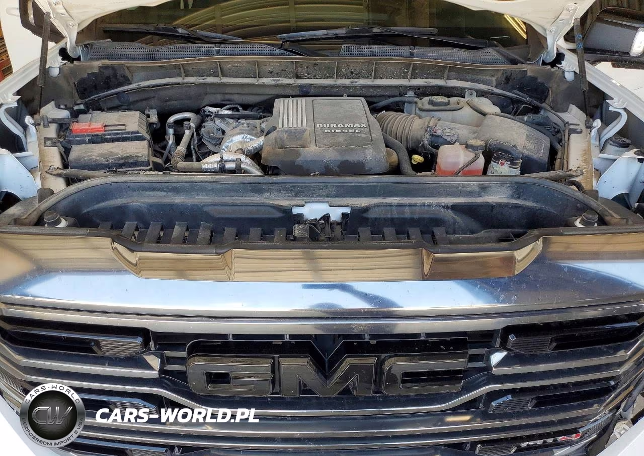2022 GMC Sierra K1500 At4 VIN:1GTUUEET9NZ616546 - 11