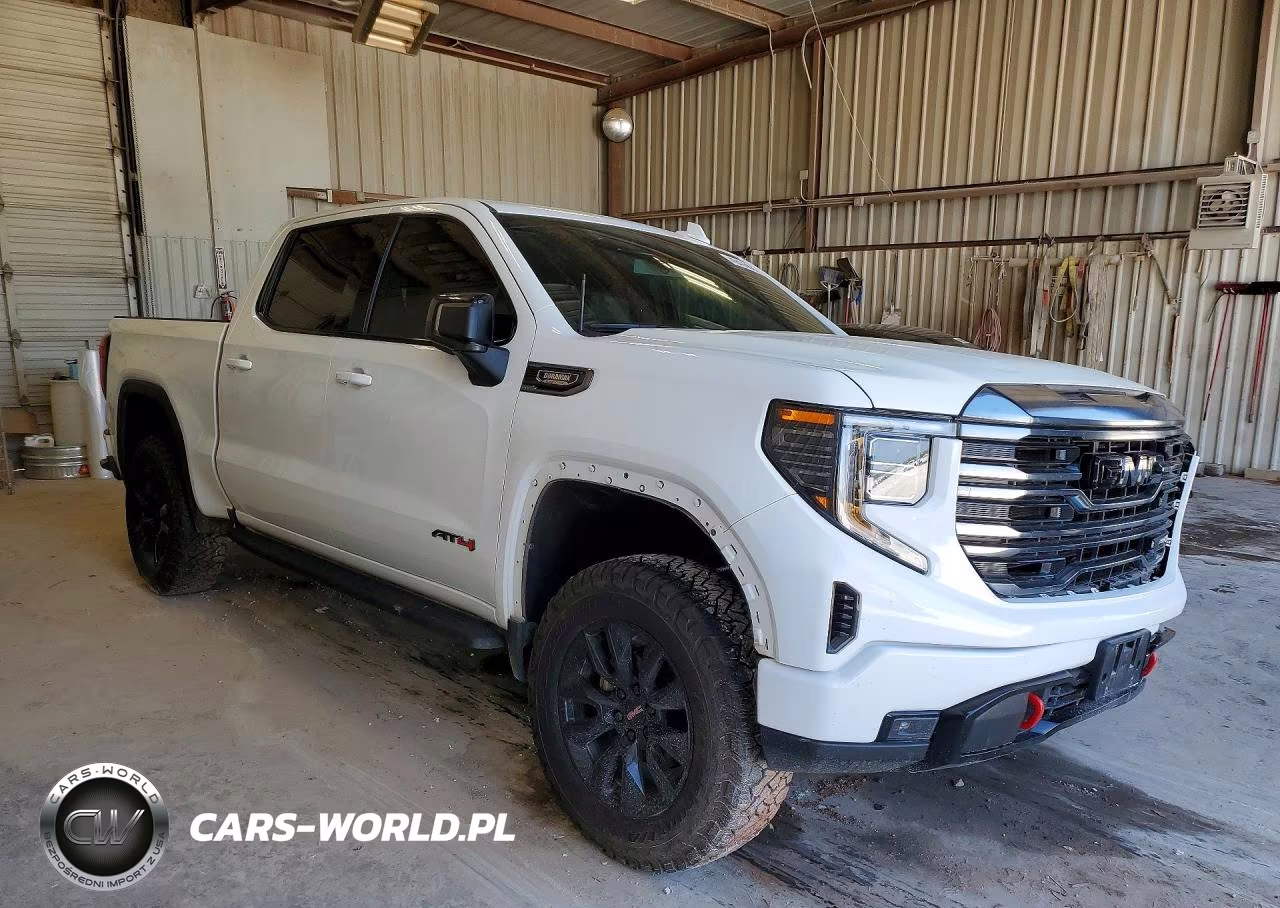 2022 GMC Sierra K1500 At4 VIN:1GTUUEET9NZ616546 - 4