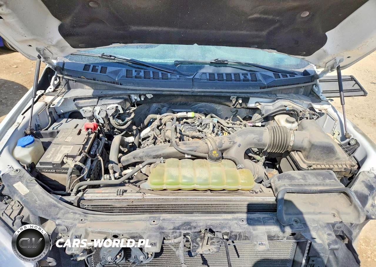 2019 Ford F150 Supercrew VIN:1FTEW1EP1KFC24958 - 11