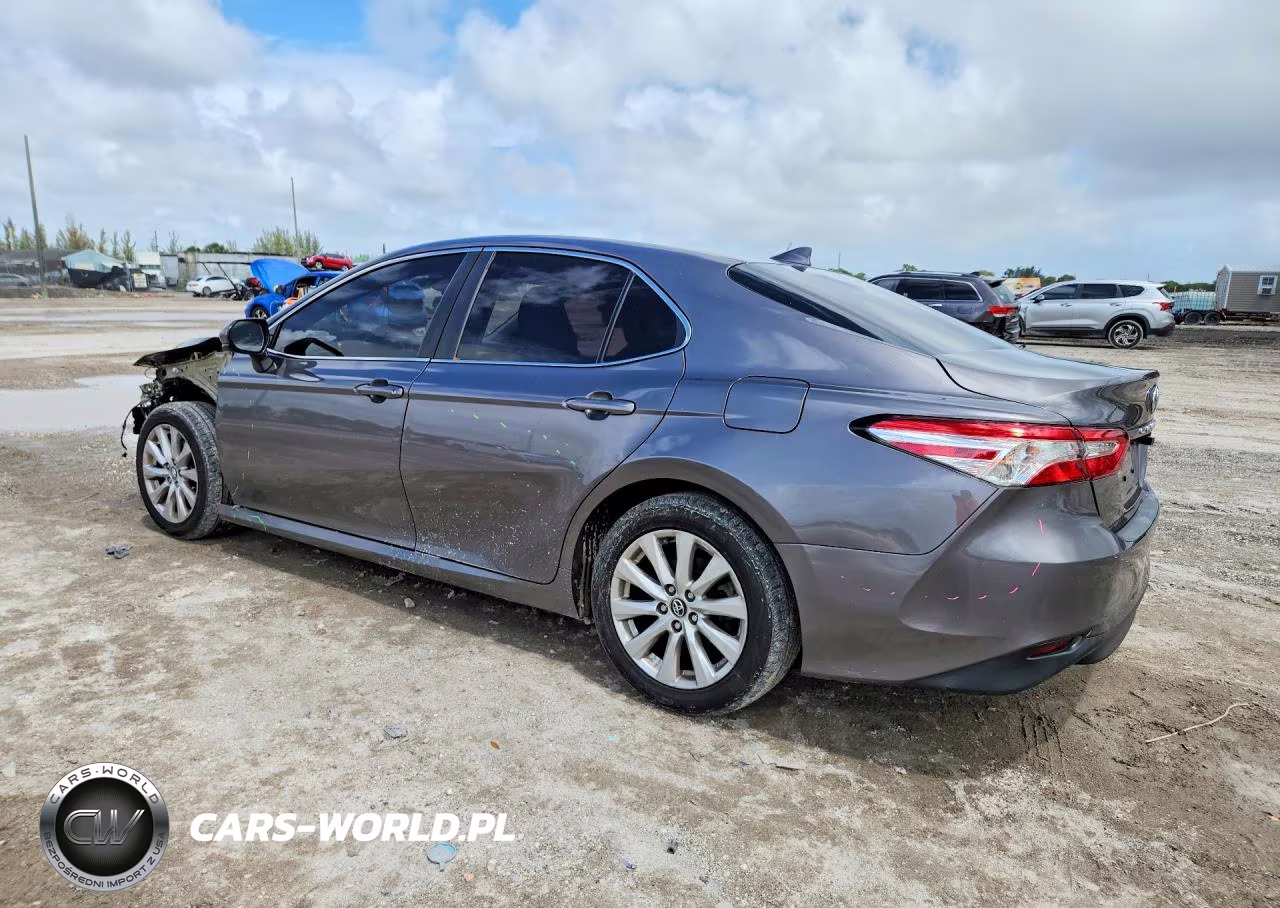 2020 Toyota Camry Le VIN:4T1C11AK4LU878541 - 2