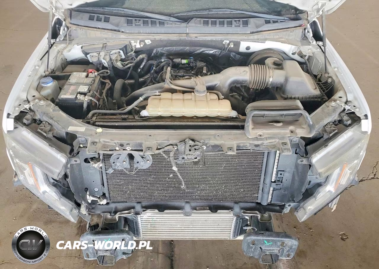 2019 Ford F150 VIN:1FTMF1CP1KKC61188 - 11