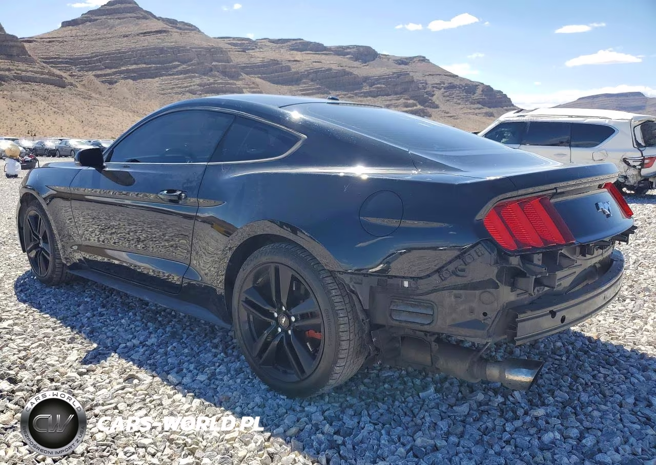 2016 Ford Mustang VIN:1FA6P8TH3G5318154 - 2
