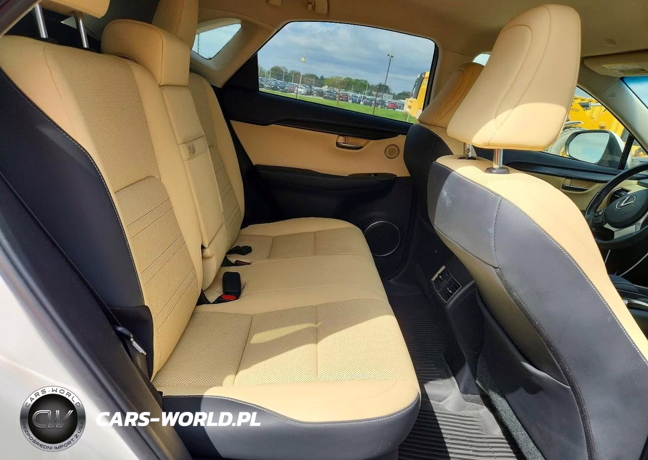 2019 Lexus Nx 300 Base VIN:JTJBARBZ5K2181025 - 11