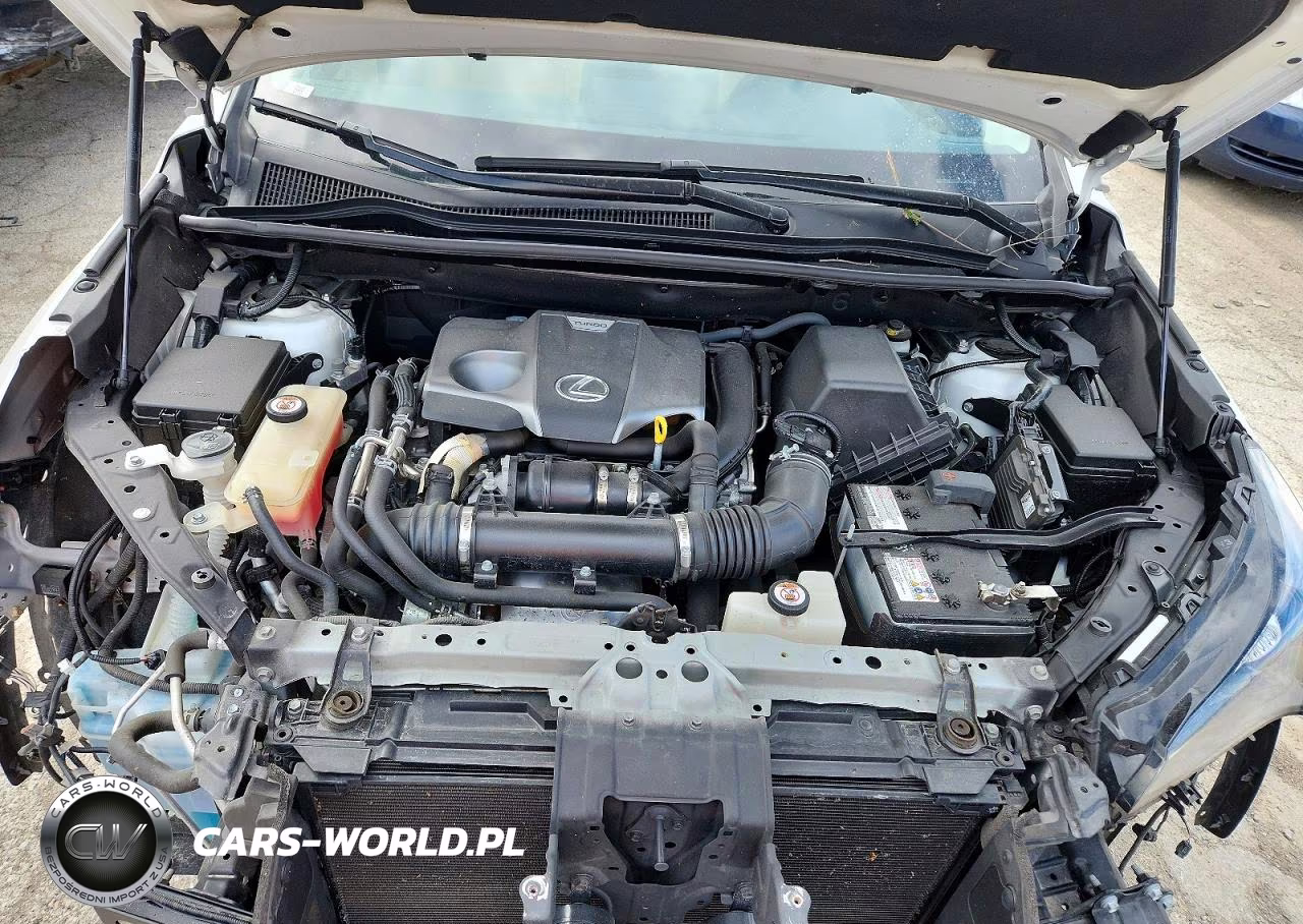 2019 Lexus Nx 300 Base VIN:JTJBARBZ5K2181025 - 12