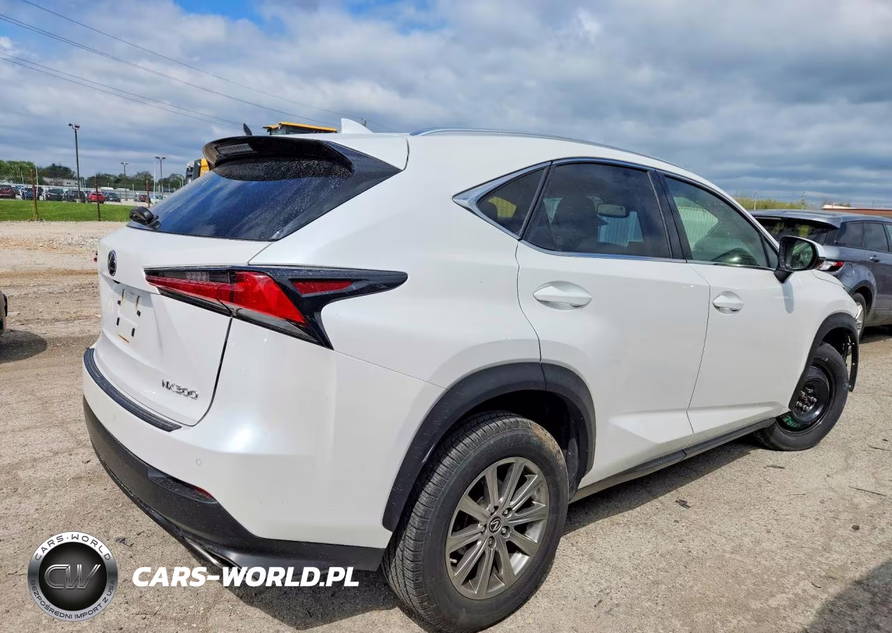 2019 Lexus Nx 300 Base VIN:JTJBARBZ5K2181025 - 3