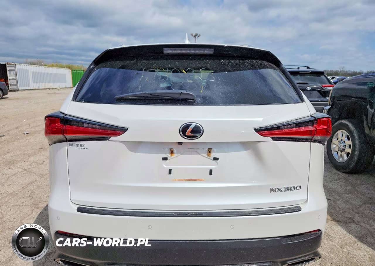2019 Lexus Nx 300 Base VIN:JTJBARBZ5K2181025 - 6