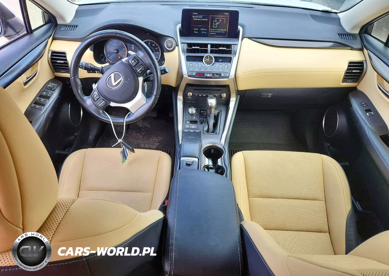 2019 Lexus Nx 300 Base VIN:JTJBARBZ5K2181025 - 8