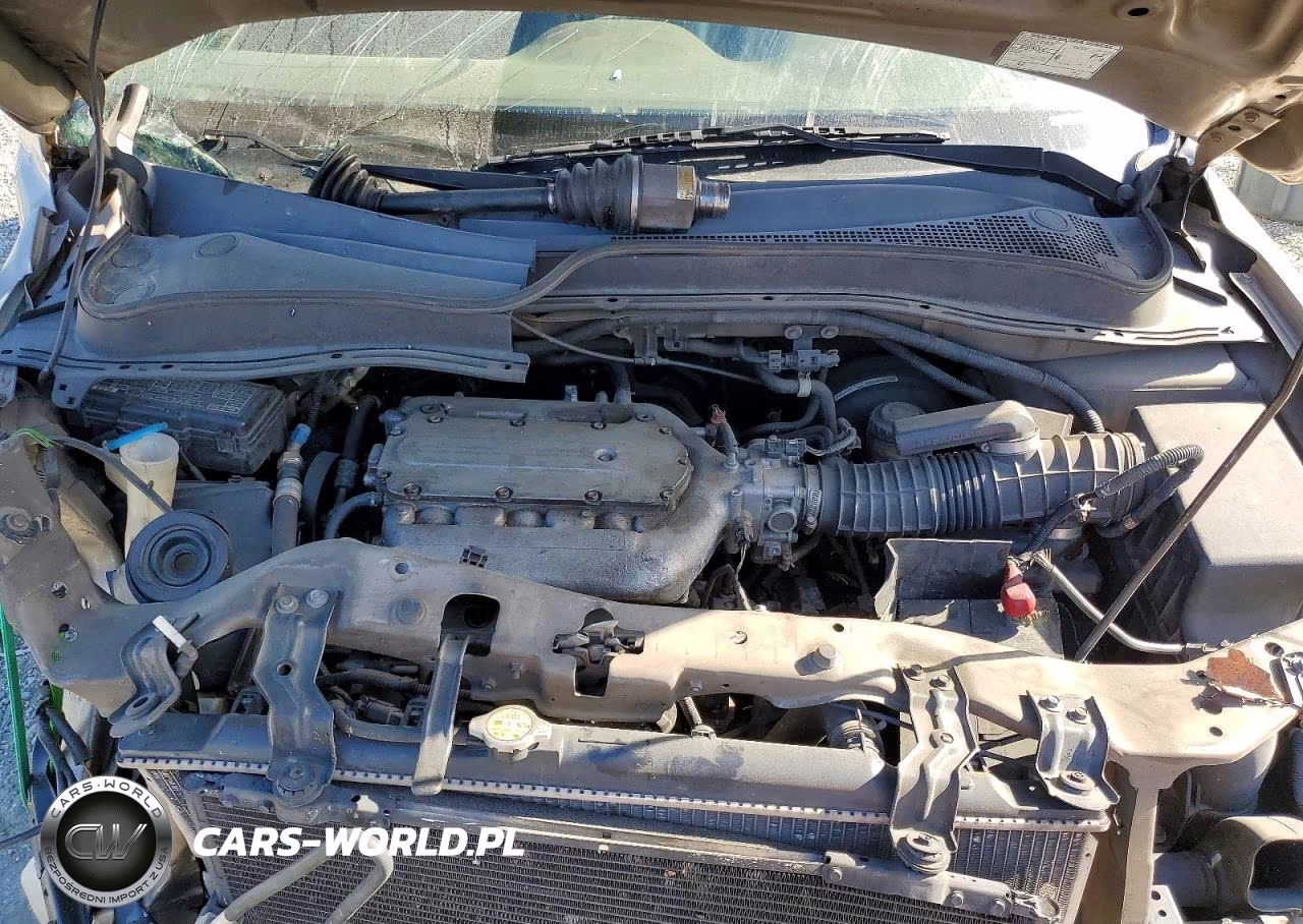 2005 Honda Pilot Exl VIN:5FNYF185X5B048220 - 11