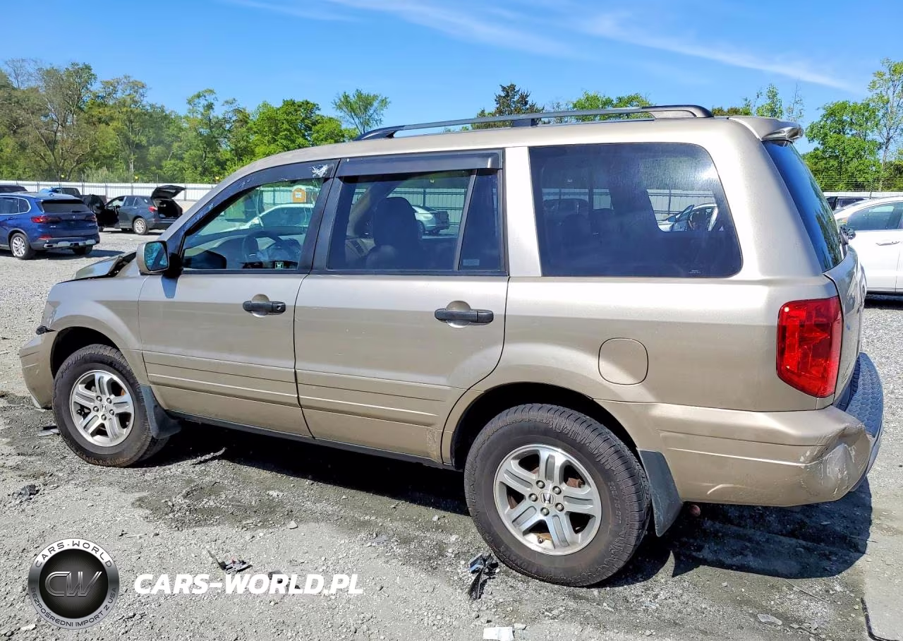 2005 Honda Pilot Exl VIN:5FNYF185X5B048220 - 2