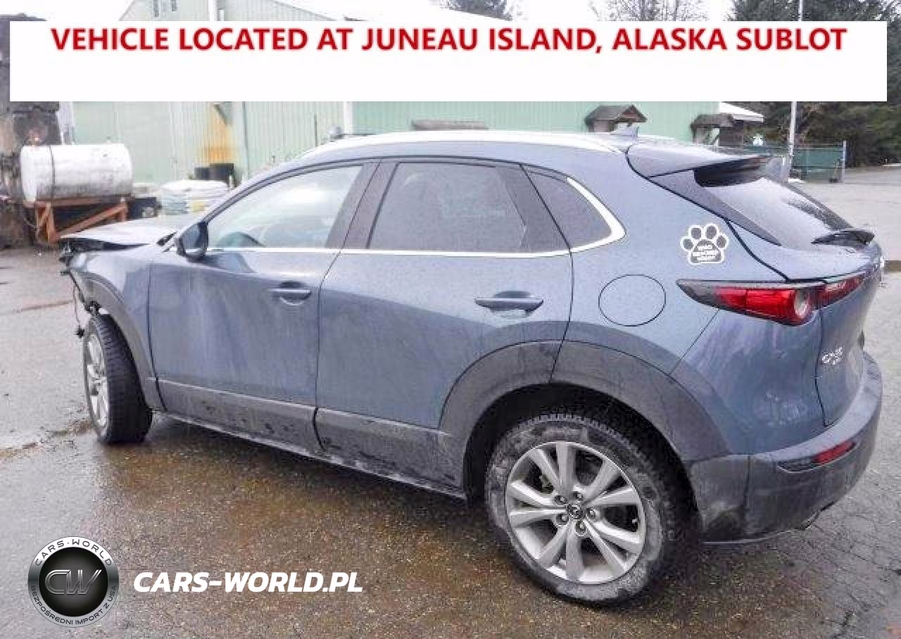 2021 Mazda Cx-30 Premium VIN:3MVDMBDL4MM305203 - 2