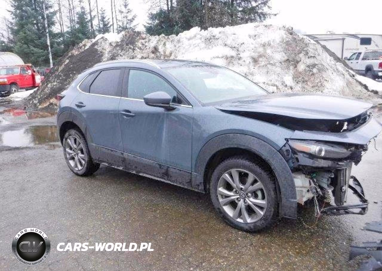 2021 Mazda Cx-30 Premium VIN:3MVDMBDL4MM305203 - 4