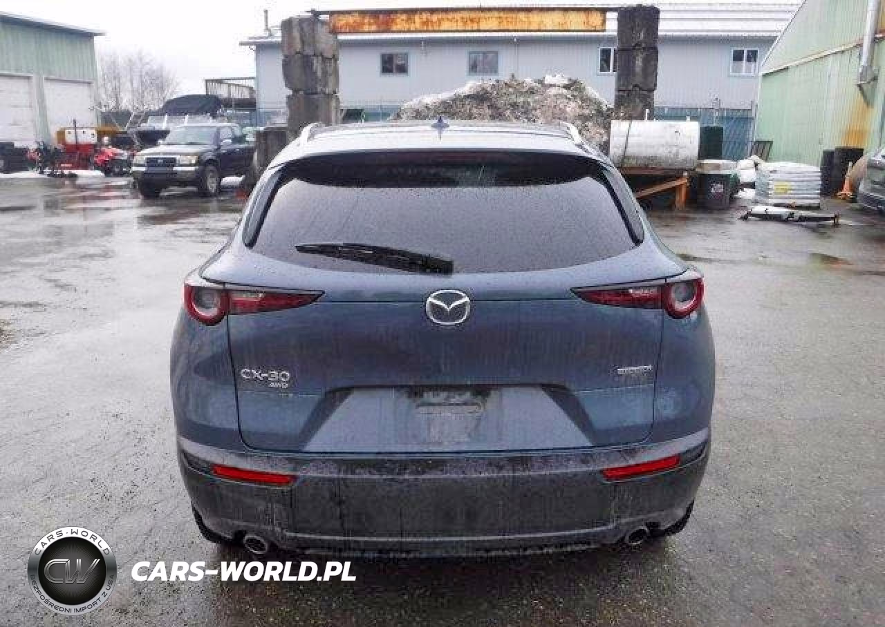 2021 Mazda Cx-30 Premium VIN:3MVDMBDL4MM305203 - 6