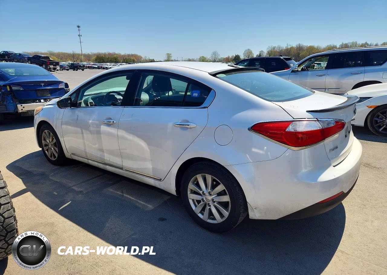2014 Kia Forte Ex VIN:KNAFX4A86E5054976 - 2