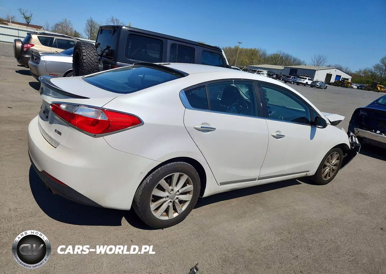 2014 Kia Forte Ex VIN:KNAFX4A86E5054976 - 3