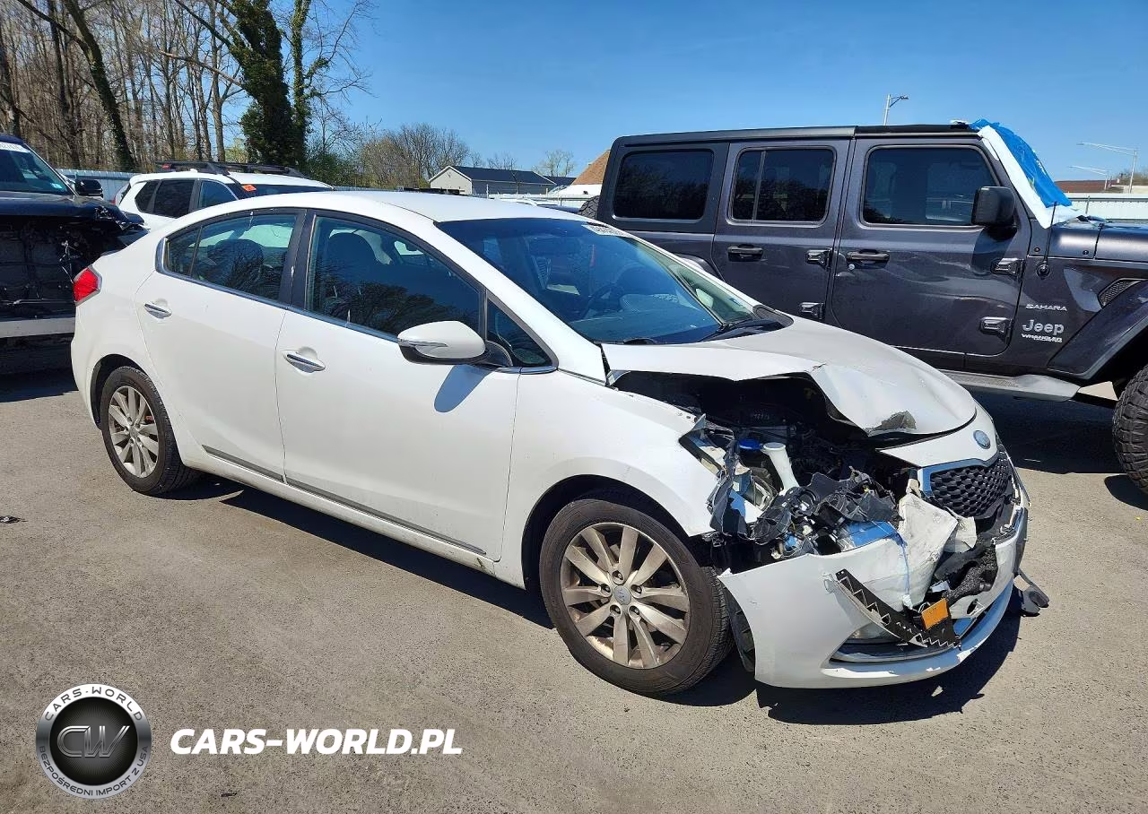 2014 Kia Forte Ex VIN:KNAFX4A86E5054976 - 4
