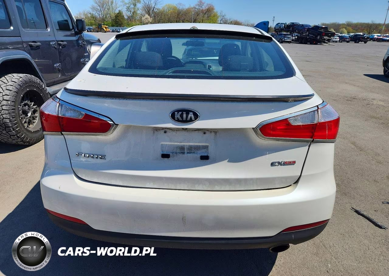 2014 Kia Forte Ex VIN:KNAFX4A86E5054976 - 6