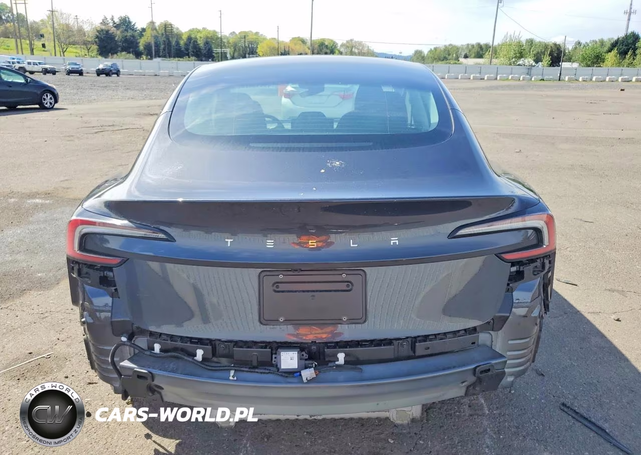 2025 Tesla Model 3 VIN:5YJ3E1EA4SF001856 - 6