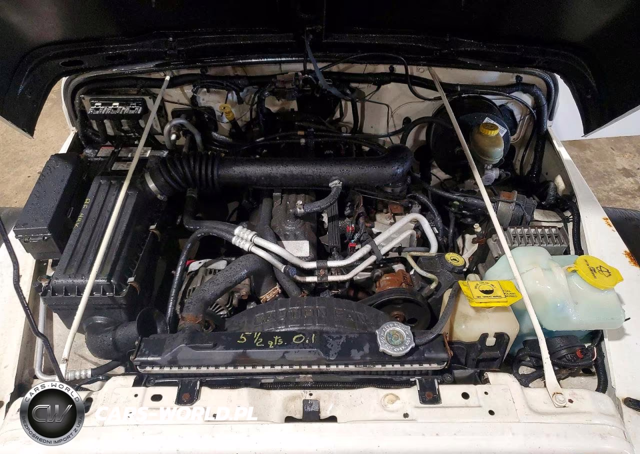 2003 Jeep Wrangler Commando VIN:1J4FA39S63P311192 - 12
