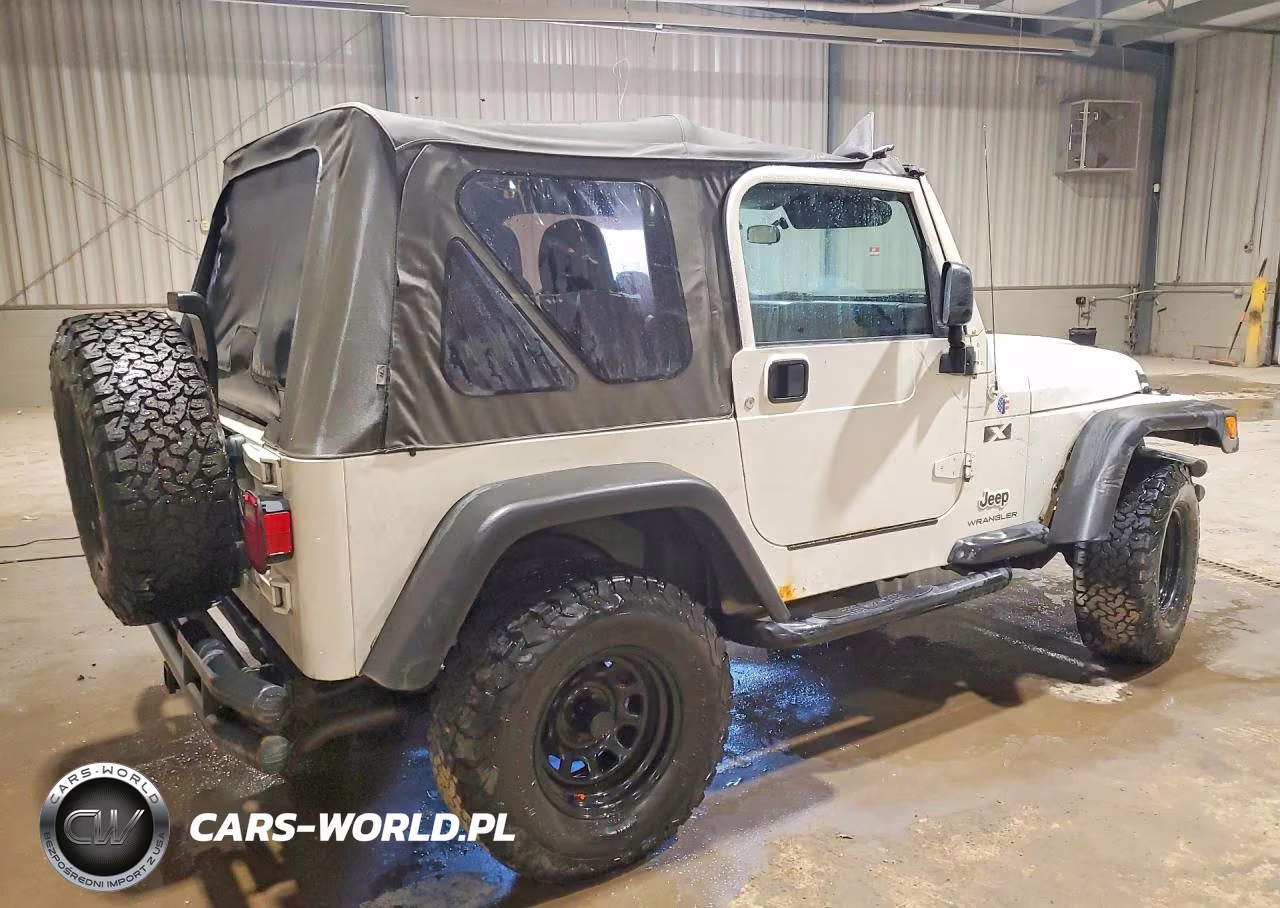2003 Jeep Wrangler Commando VIN:1J4FA39S63P311192 - 3