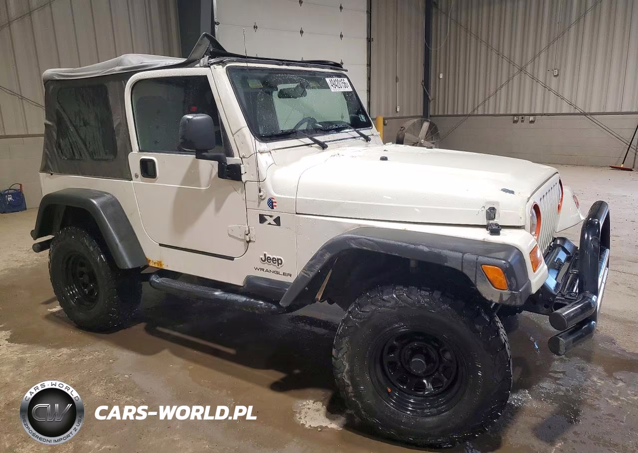 2003 Jeep Wrangler Commando VIN:1J4FA39S63P311192 - 4