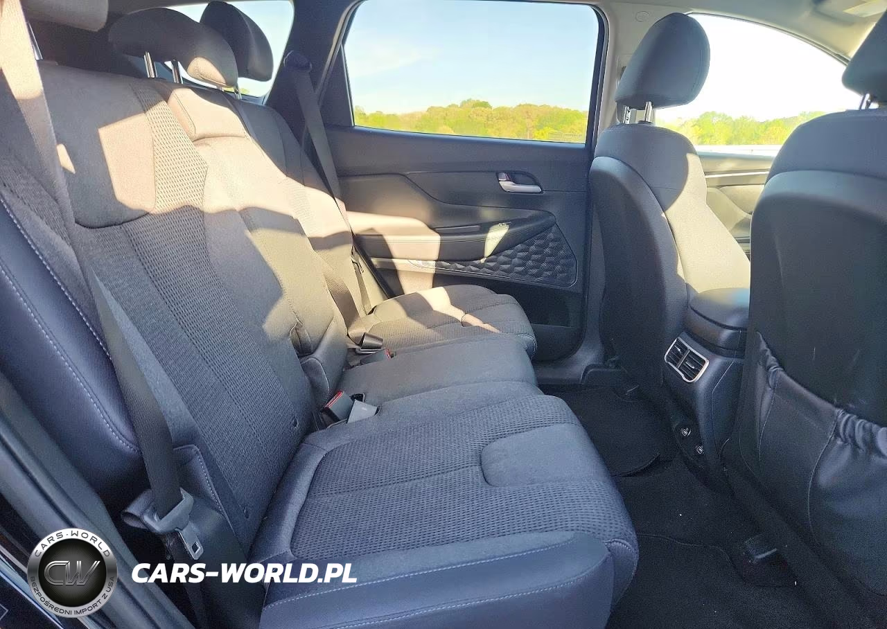 2022 Hyundai Santa Fe Sel VIN:5NMS2DAJ3NH385109 - 10