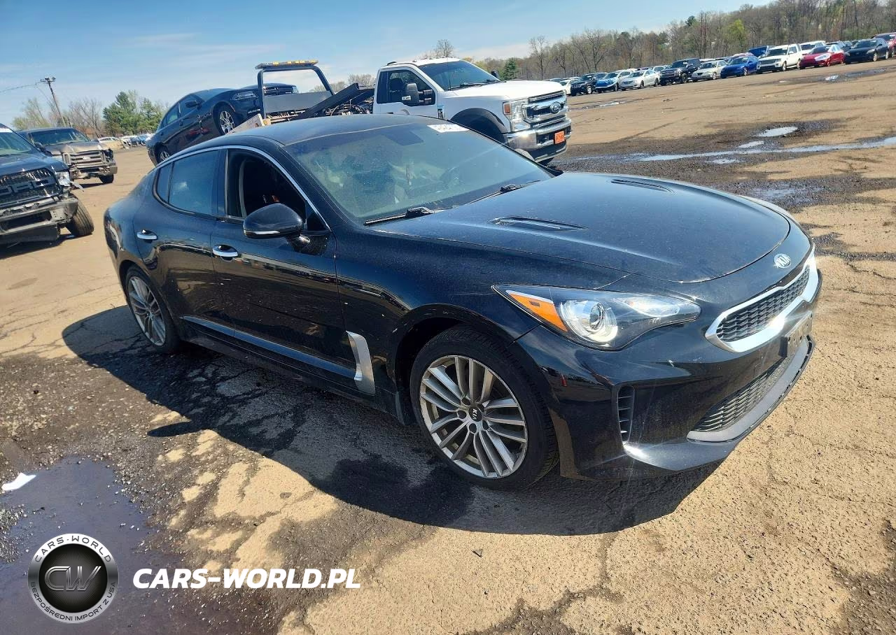 2018 Kia Stinger Base VIN:KNAE15LA7J6024781 - 4