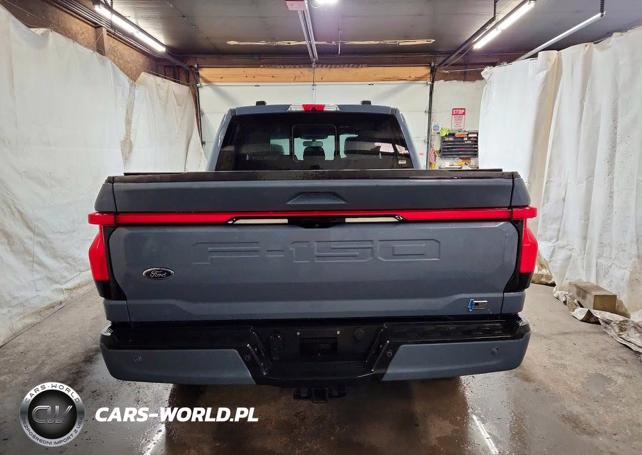 2023 Ford F150 Lightning Pro VIN:1FT6W1EV7PWG02016 - 6