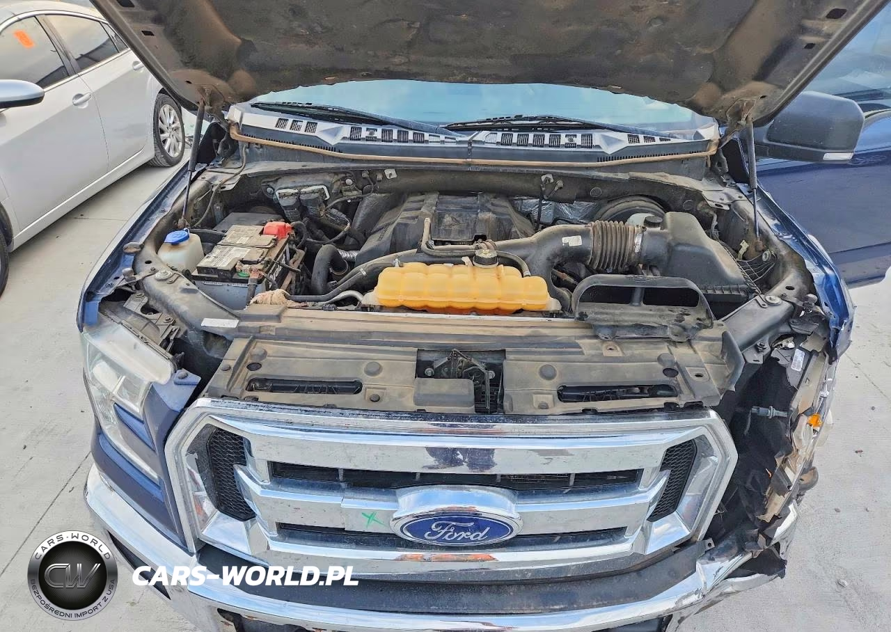 2016 Ford F150 Supercrew VIN:1FTEW1CP0GKD53808 - 11