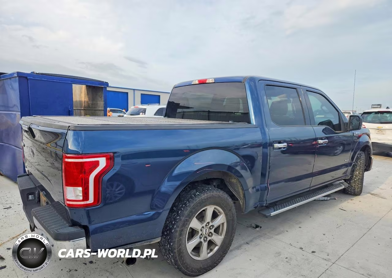 2016 Ford F150 Supercrew VIN:1FTEW1CP0GKD53808 - 3