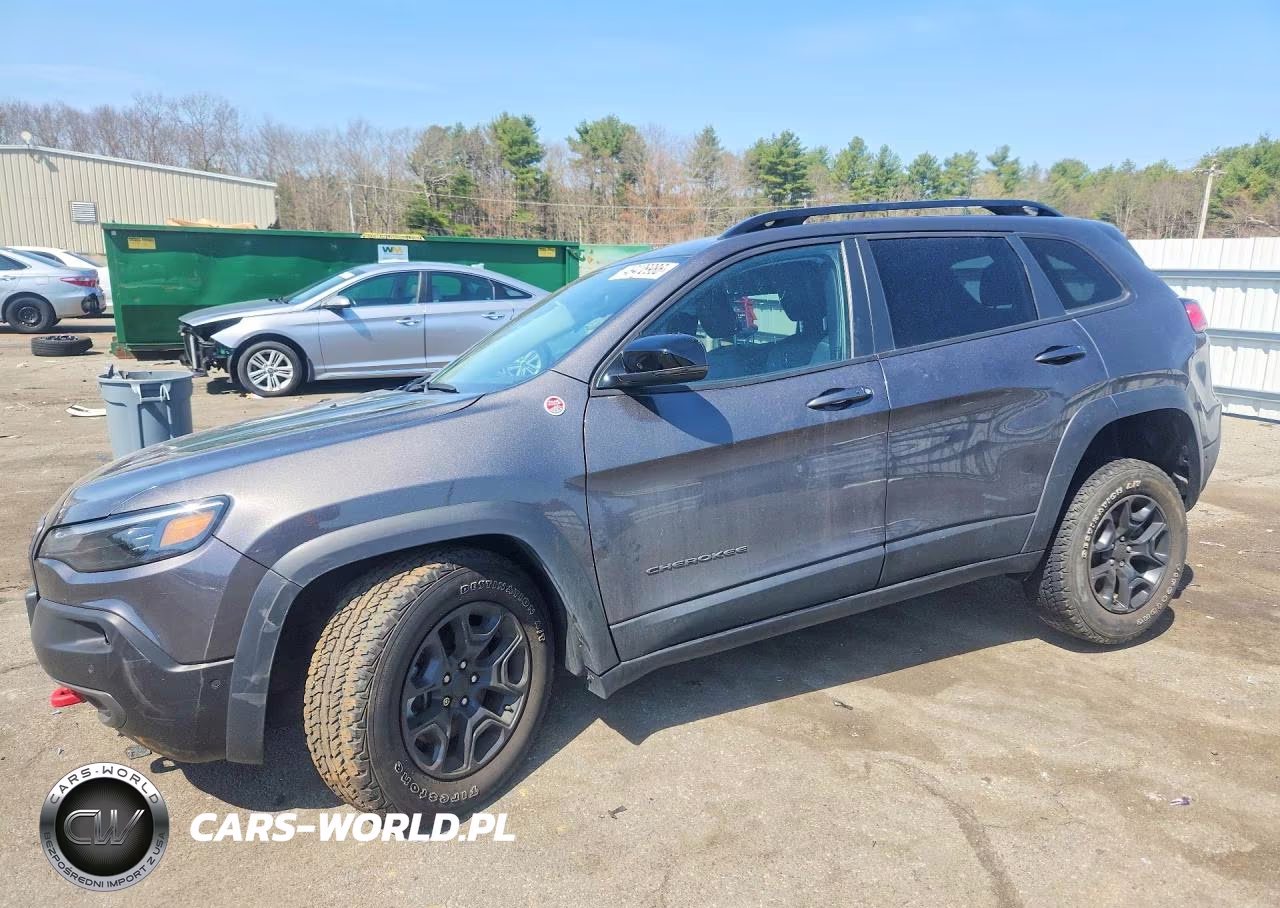 2022 Jeep Cherokee Trailhawk VIN:1C4PJMBXXND504505 - 1