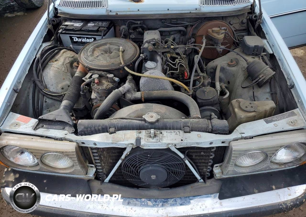 1979 Mercedes-Benz C-Class 30 VIN:12315012003738 - 11