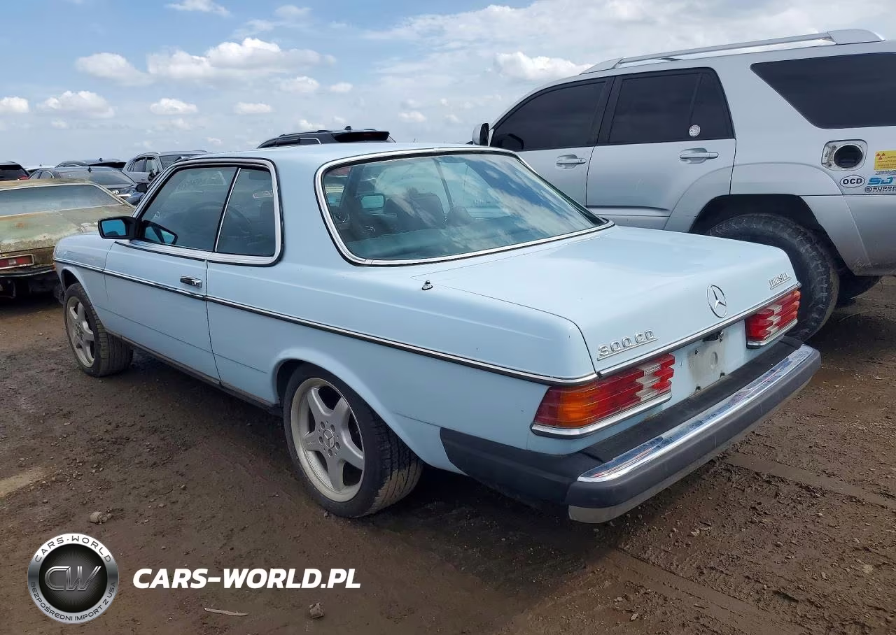 1979 Mercedes-Benz C-Class 30 VIN:12315012003738 - 2