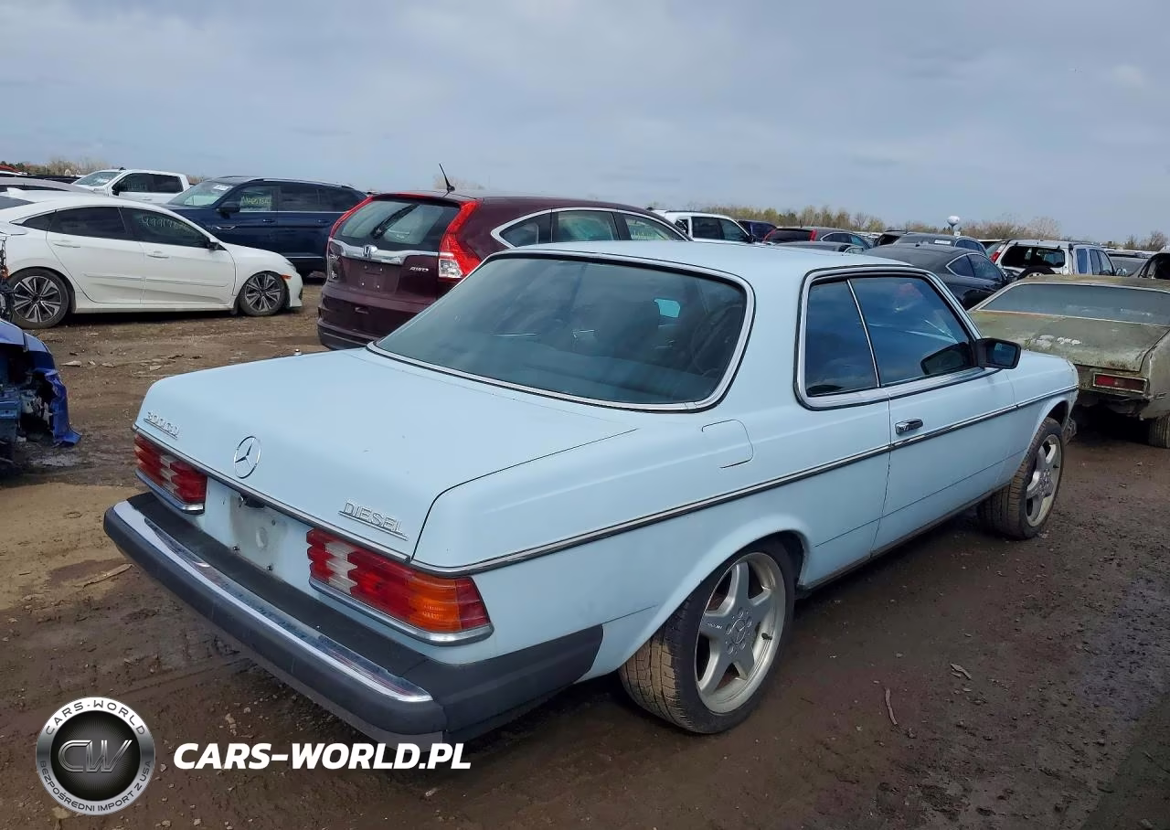 1979 Mercedes-Benz C-Class 30 VIN:12315012003738 - 3
