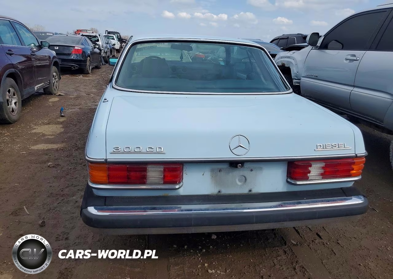 1979 Mercedes-Benz C-Class 30 VIN:12315012003738 - 6