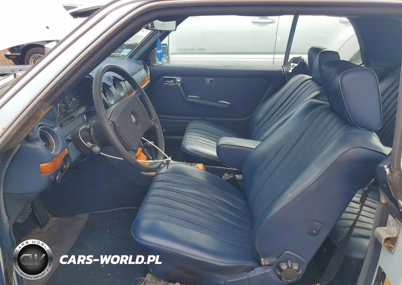 1979 Mercedes-Benz C-Class 30 VIN:12315012003738 - 7