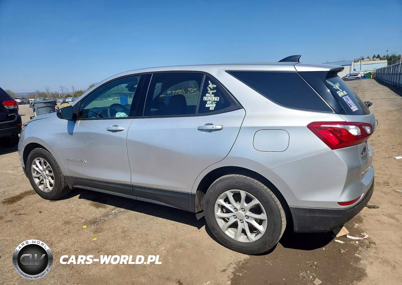 2019 Chevrolet Equinox Ls VIN:3GNAXHEV7KS670585 - 2