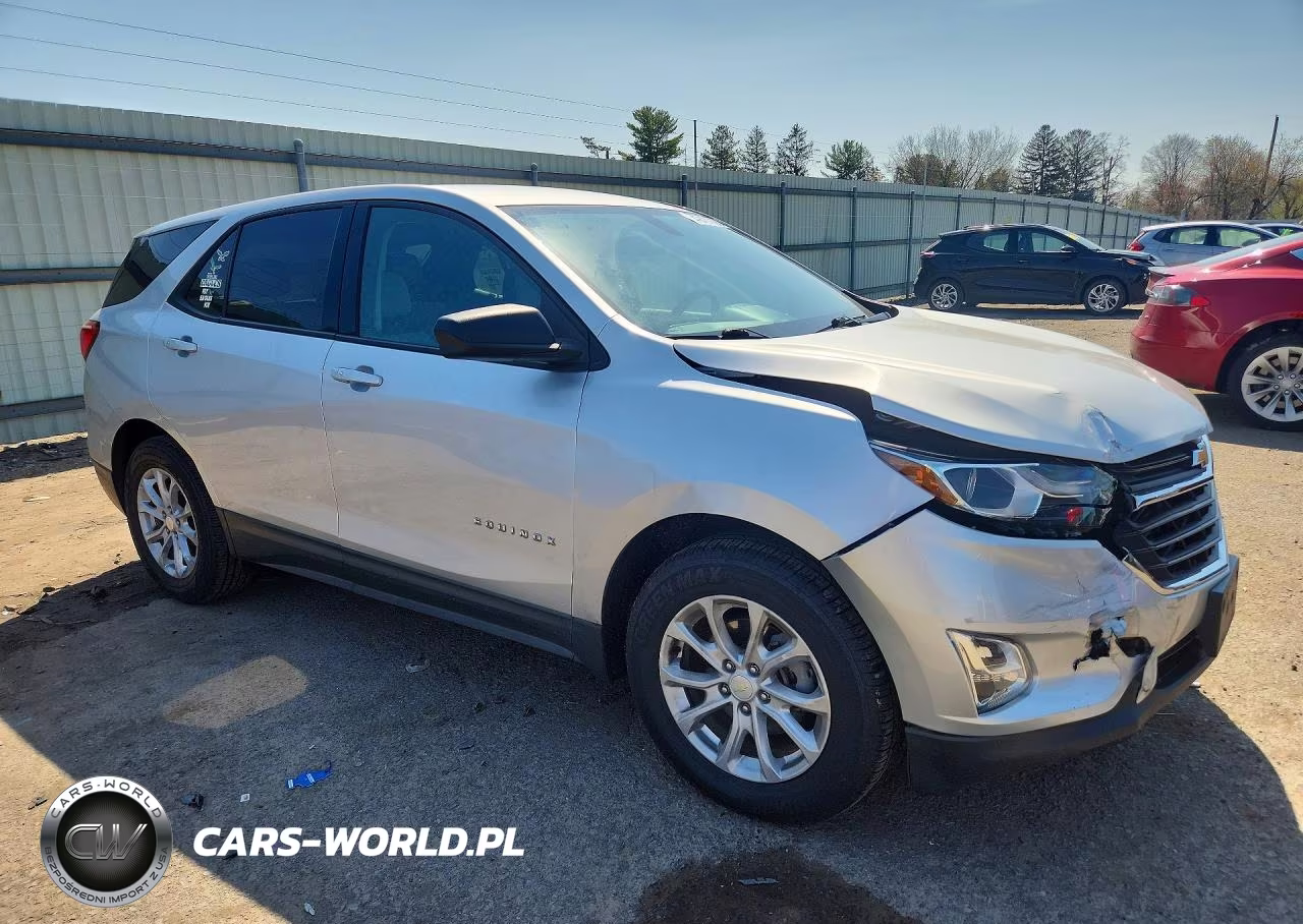 2019 Chevrolet Equinox Ls VIN:3GNAXHEV7KS670585 - 4