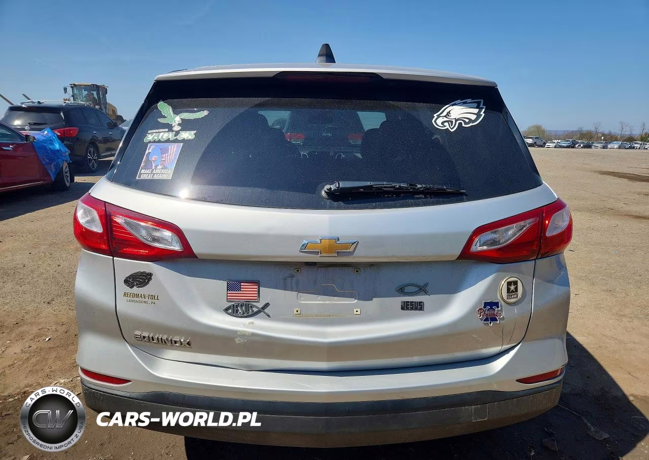 2019 Chevrolet Equinox Ls VIN:3GNAXHEV7KS670585 - 6