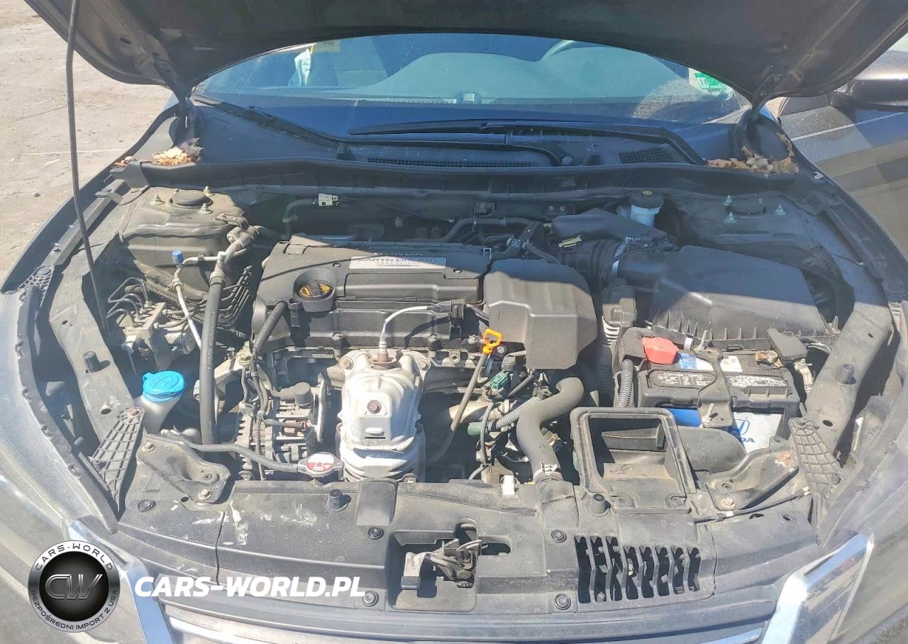 2013 Honda Accord Lx VIN:1HGCR2F34DA236670 - 11